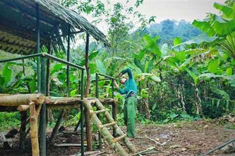 Build Primitive Life a New Wooden Cabin in the Rainforest, Survival Skills in the Forest | EP.1