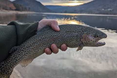 Sunrise Bite | Trout Fishing Silverwood Lake
