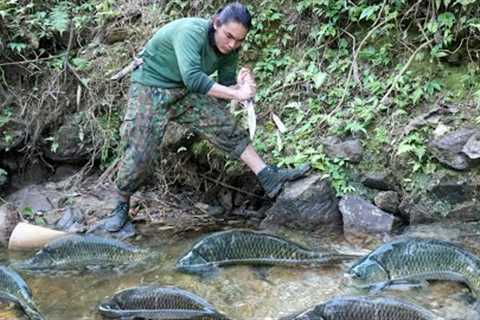 Skill, catch all stream fish, survival alone, green forest life