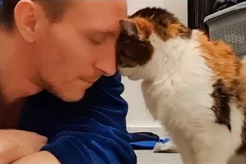 Funny Cat and Human That Will Change Your Mood For Good