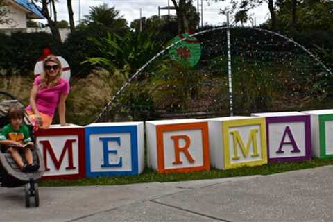 Who Wouldn't Love to See Weeki Wachee Mermaids?