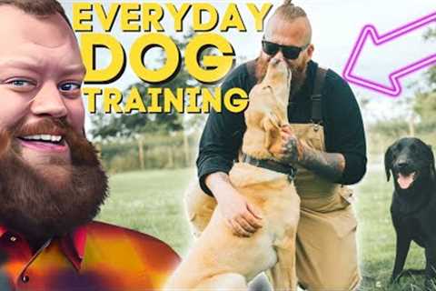 6 Dog Training Exercises You Should Do EVERY DAY Starting NOW!
