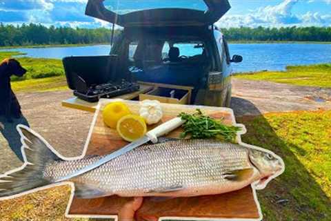 Cooking Fresh Fish In The Back Of My SUV (Catch &amp; Cook)