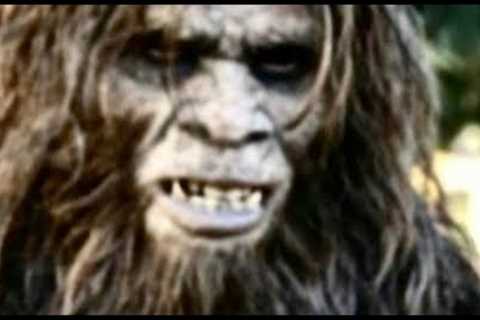 THIS BEAST WAS CAUGHT ON TRAIL-CAM!! - While Exploring The Woods And We Catch This On Video!!