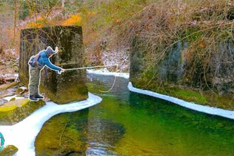 Winter Fly Fishing in BRUTAL Conditions! (Trout Fishing)