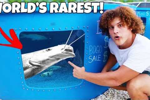 Buying World's RAREST Exotic AQUARIUM FISH!