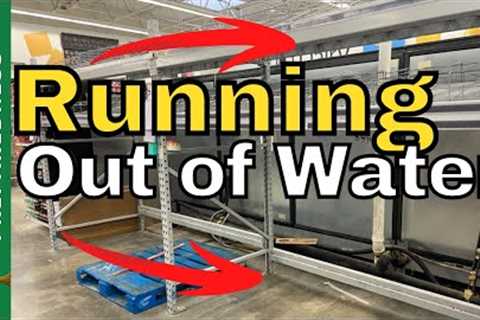 Food SHORTAGES UPDATE | Empty Shelves At Walmart &amp; Aldi (January 1, 2023)