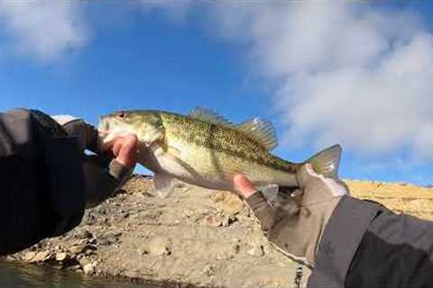 JIG FISHING | PINE FLAT LAKE | BANGBASS559