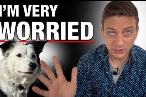 State of Emergency: The Dog Training Crisis is Here