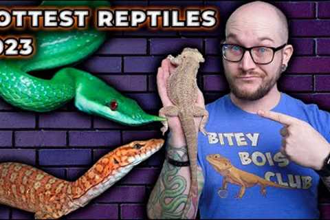 Top 5 Newly Popular Reptiles That Will BLOW UP in 2023