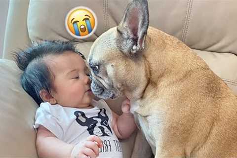 Our FUNNIEST Best Dog And Baby Moments of 2022