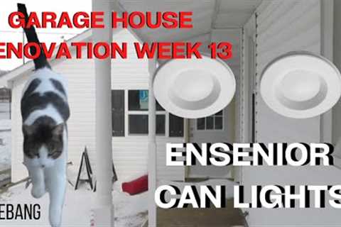 DEDDY MIKE'S GARAGE HOUSE RENOVATION WEEK 13 ENSENIOR LED CAN RECESSED LIGHTS