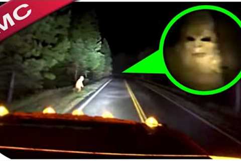 The Most Jaw Dropping Bigfoot Videos You Will Ever See