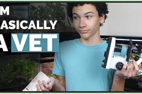 I'm Basically an Exotic Vet! - Testing My Reptile's Fecals