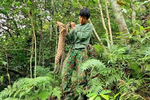 Survival, skills, building a barn for wild boar, survival alone