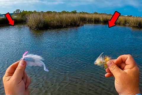 I Used These Lures to Catch Fish Here