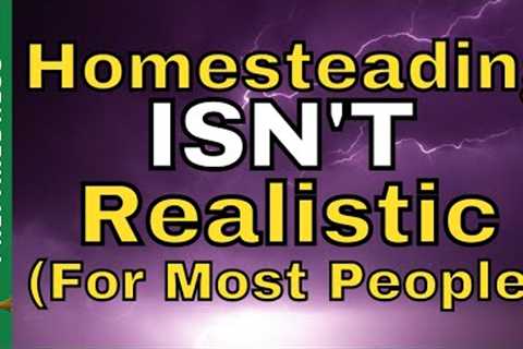 5 Reasons Why Long Term Food Storage Is Better Than Homesteading (For Most People)