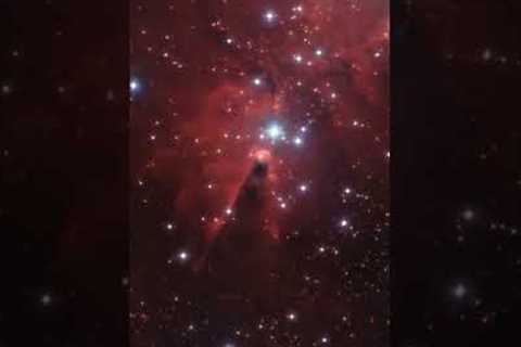 Zooming in on the Cone Nebula #short #shorts #viral #trending #shortvideo #jwst #youtube #ytshorts