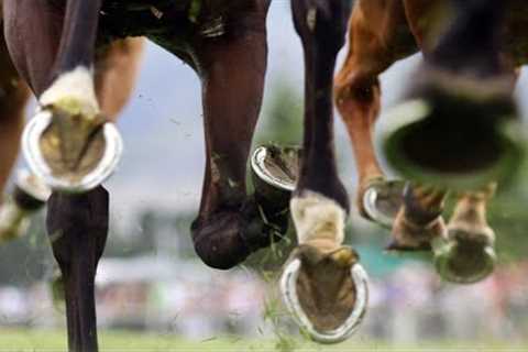 Perth Cup 2023 called off mid-race after horse falls
