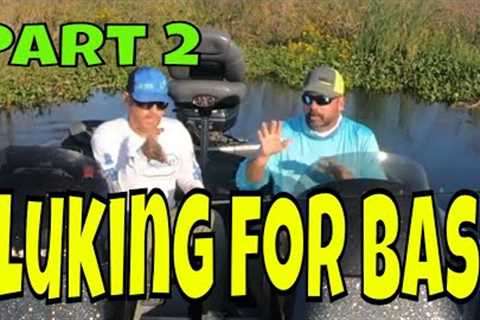 Fluking for Bass | How to use a fluke lure for bass fishing Part 2