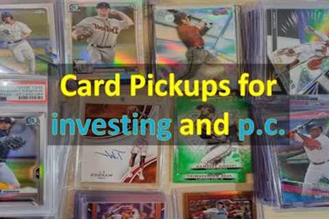 Card-Single pickups from various hobby shops: investment cards and for the p.c.
