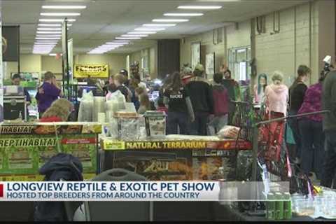 East Texas Reptile and Exotic Pet Show hosted thousands of reptiles from across the U.S.