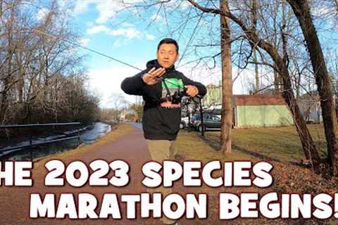 How Many Species Can I Catch in 2023...?