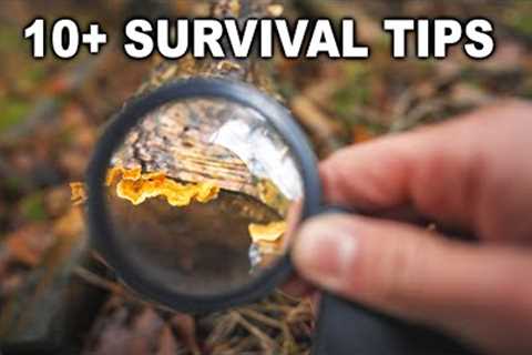 10+ Outdoor Survival Skills &amp; Bushcraft Tips
