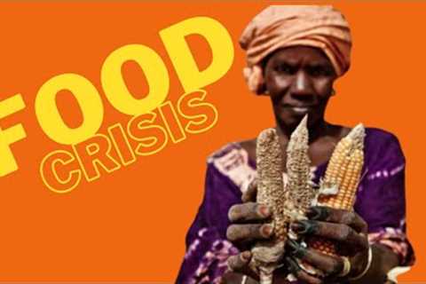 The Global  Food Crisis ~ Its REAL And Its COMING!