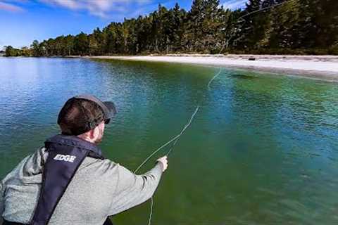 Fly Fishing for Ray Riders - [Can I catch the fish of my dreams?]