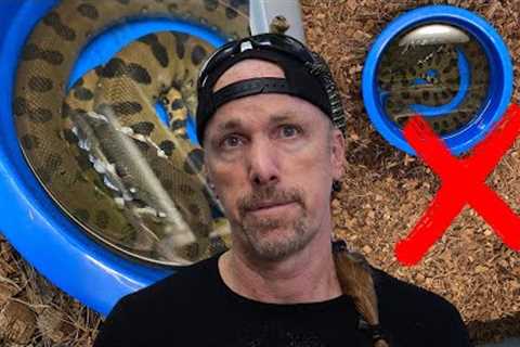 Stop Blaming Reptile Breeders - Here's Why Your Animal Died or Failed to Thrive.