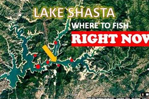 LAKE SHASTA: WHERE ARE THE FISH!!?? (areas/spots shown)