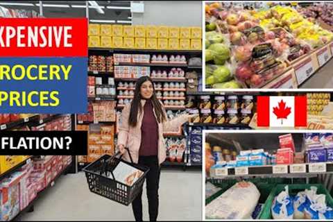 Grocery Prices in Canada 2023 🇨🇦 | Grocery Shopping in Toronto | Sangz Stories |Vlog
