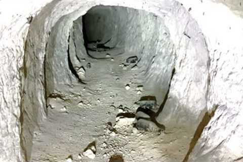 Expert Discovers A 100 Year Old Tunnel &amp; Makes A Chilling Announcement After Finding This Inside