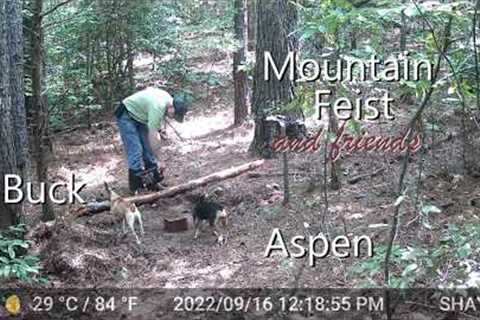 Rare, Mystery Animal Caught On Trail Camera