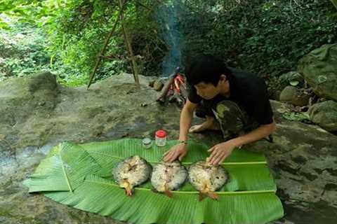 Survival skills, catching stream fish, guarding the kitchen, storing food - green forest life