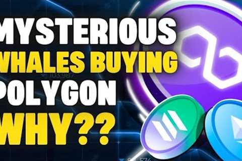 MASSIVE Polygon MATIC WHALE Accumulation! Gemini DCG Spat | Ethereum up 338% &amp; more crypto news