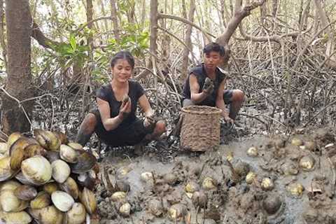 Shells in mangrove for lunch - Cooking shells, Eating delicious