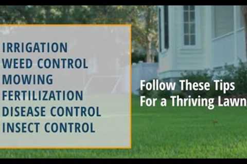 Spring Lawn Maintenance Tips