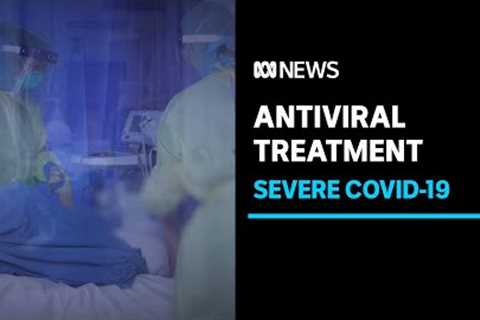 Treating severe COVID-19 becoming more challenging, scientists say | ABC News