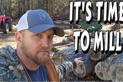 TIME TO MAKE IT HAPPEN couple builds, tiny house, homesteading, off-grid, cabin build DIY HOW TO