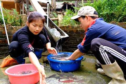 Change aquarium water and enjoy delicious grilled fish Build a farm, Live with nature #131