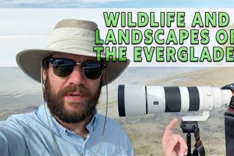 Landscape and Bird Photography in the Everglades - Part 1