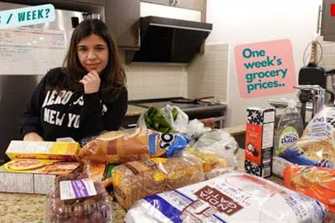 Grocery Prices in 2022 | Come shop with me in Canada | Grocery Shopping Vlog 🇨🇦