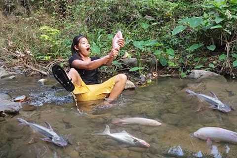 Fresh fish in river for food in jungle - Cooking fish for dinner - Solo cooking in forest