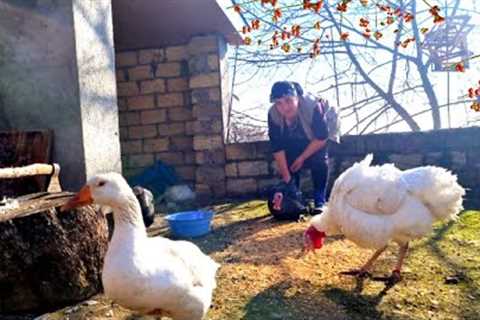 CHRISTMAS IN AZERBAIJANI VILLAGE - WITH WALNUTS TURKEY IN TANDIR