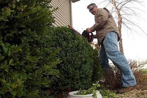 Spring Cleanup Lawn and Landscape