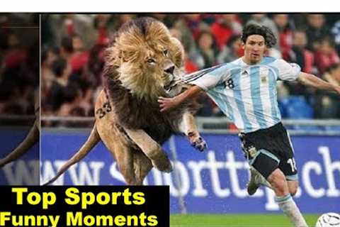 2023's Most Hilarious Sports Fails | Funny Sports Compilation