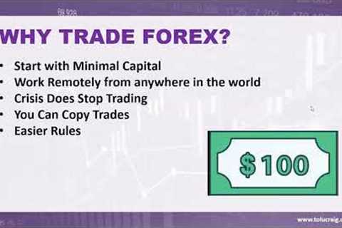 FOREX TRADING TUTORIAL FOR BEGINNERS   LIVE TRAINING WITH TOLU CRAIG