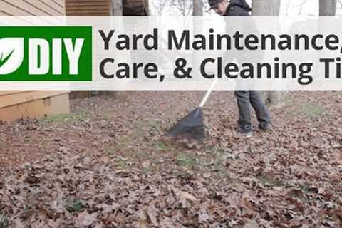 Yard Maintenance, Care, &amp; Cleaning Tips | DoMyOwn.com
